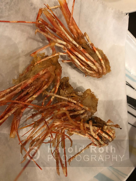 crawfish01