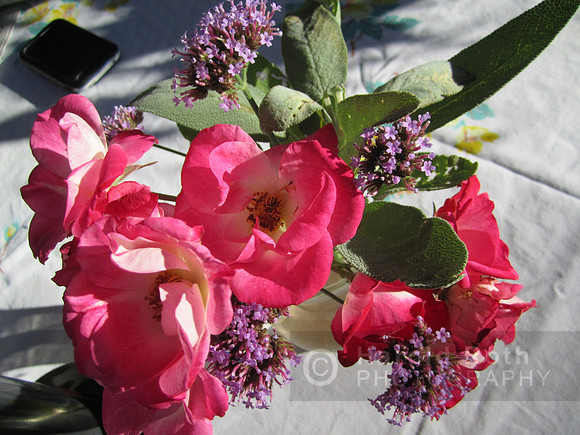 flower141_hr