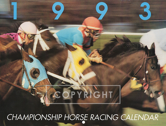 1993_calendar