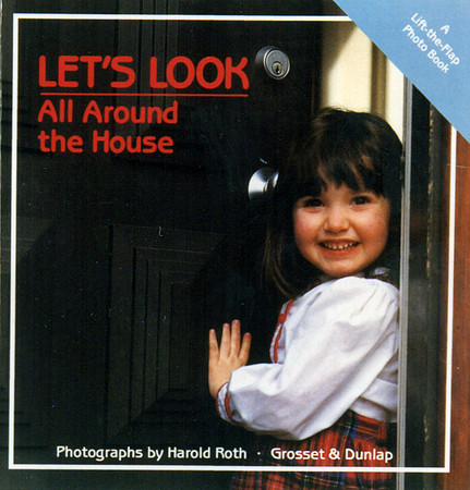 a_lift_flap_house_book