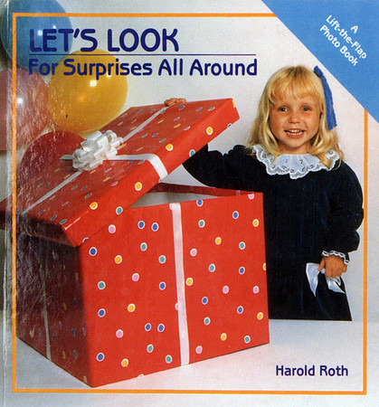 a_lift_flap_surprises_book
