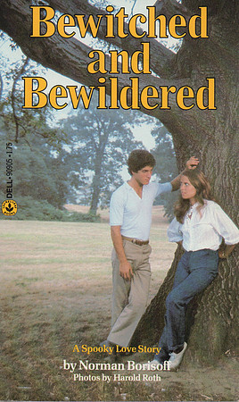 hi_lo_bewiched_and_bewildered