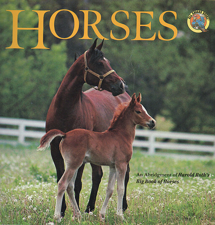 little_book_cover