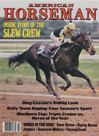 h_american_horseman_slew