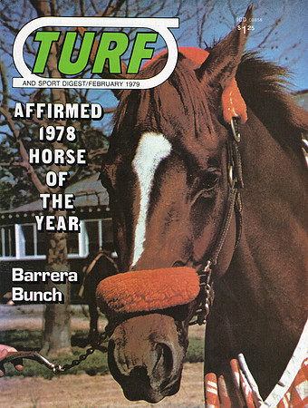 Turf_affirmed