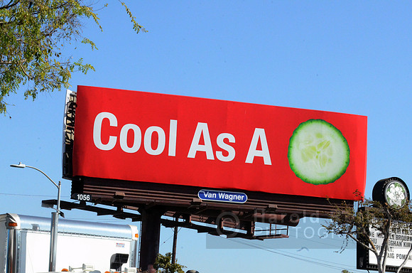 3_cucumber_billboard10_hr