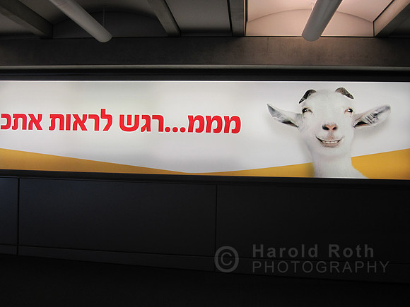 israel_sign03_hr