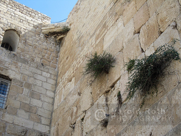 western_wall07_hr