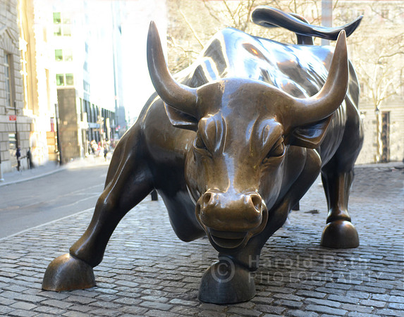 wall_street_bull01_hr