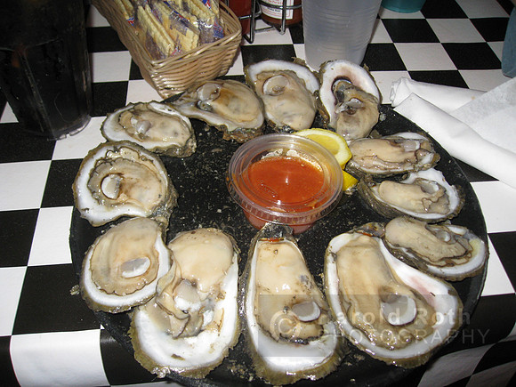 oysters01_hr