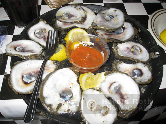oysters02_hr