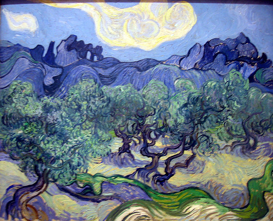 olivetrees_vangough