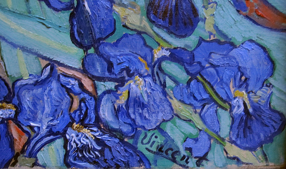 van_gough_iris_getty02_hr