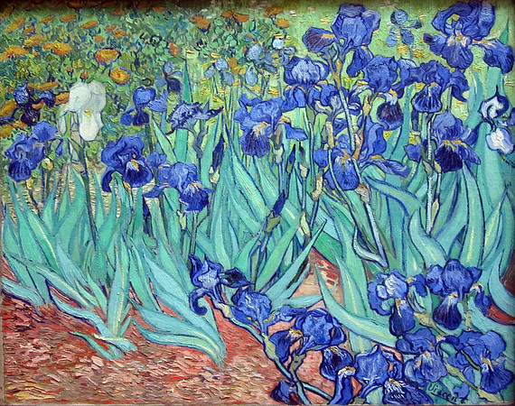 van_gough_iris_getty01_hr