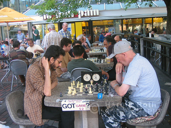 chess03