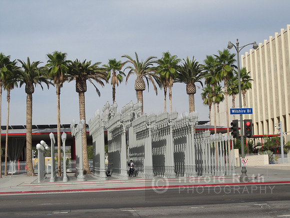 lactma_lights01_hr