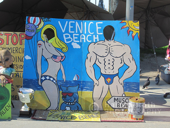 musclebeach_cutout01_hr
