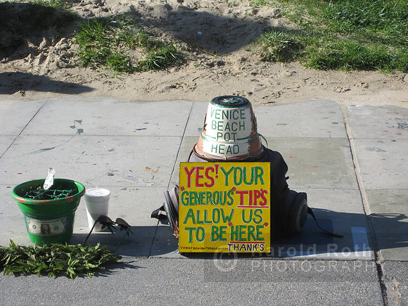 venice_pothead01