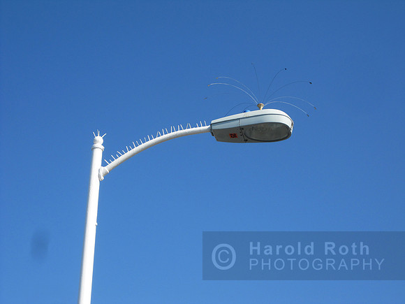 street_lamp_santamonica14_hr