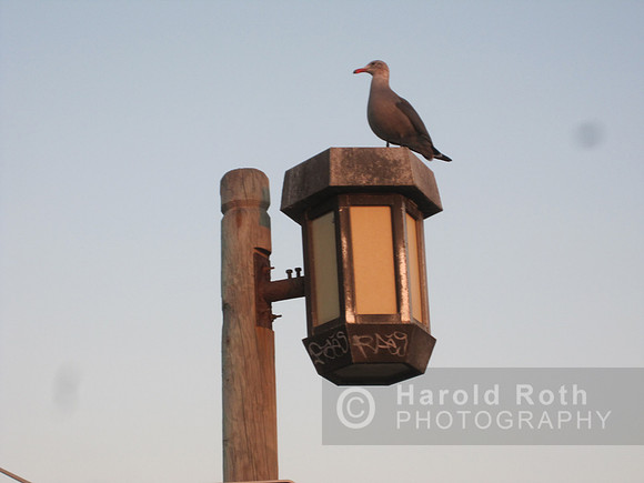 street_light_laguna06_hr