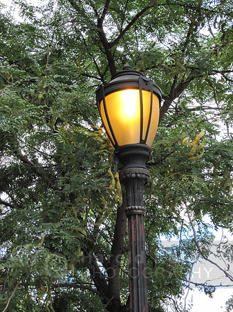 bklyn_water_lamp05_hr