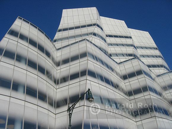 gehry01b