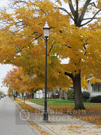 grove_city_lamp01b