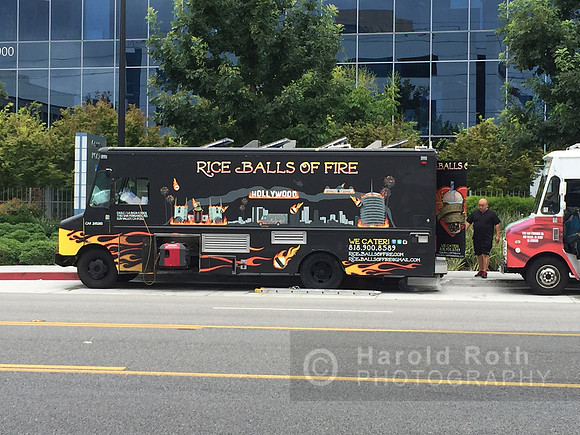 rice_balls_food_truck