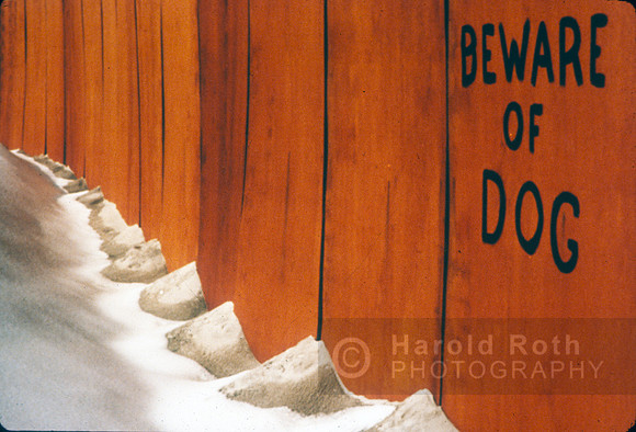 beware_of_dog_9.79