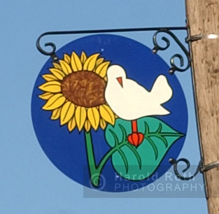 woodstock_logo2004_01_hr