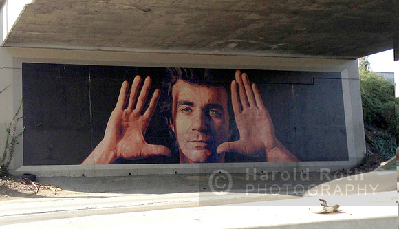 101_face_mural02