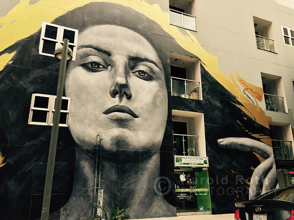 mural_spring_street03