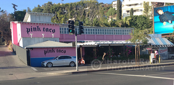 pink_taco01_hr
