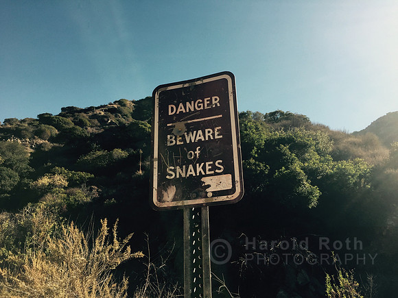 snakes_sign