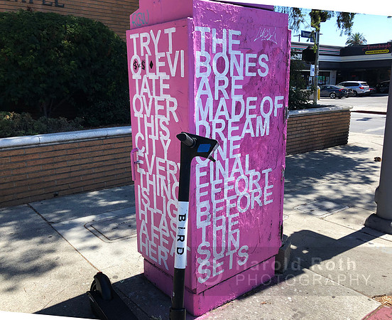 bones_are_made_of_dreams02