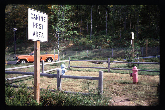 canine rest area