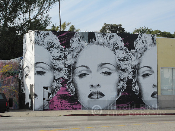madonna_wall02_hr