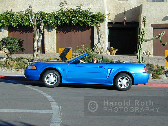 robin_mustang01_hr