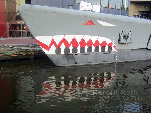 shark_sub_baltimore01_hr