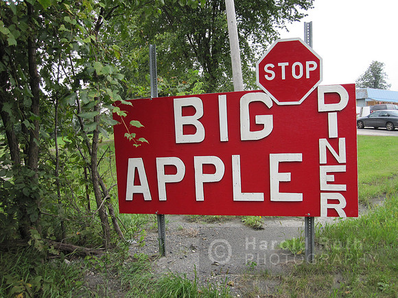 big_apple_diner02_hr