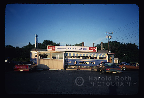 bluebonnetdiner