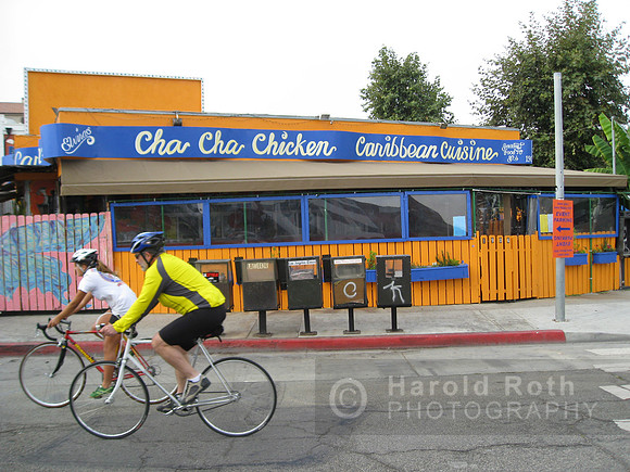 chacha_chicken01