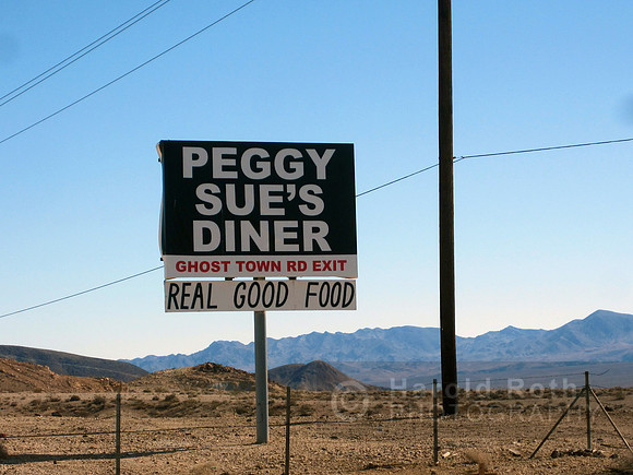 peggysues_diner01_hr