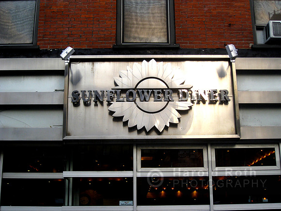 sunflower_diner01_hr