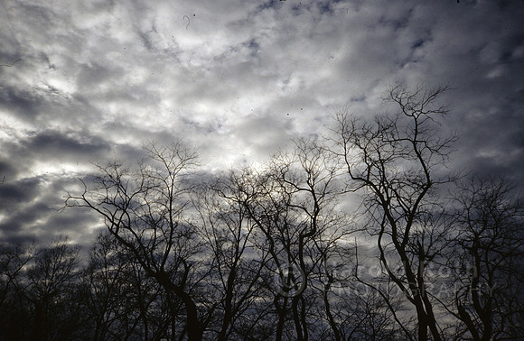 clouds_trees01