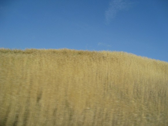 landscape01 2