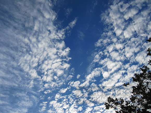 sky155_hr