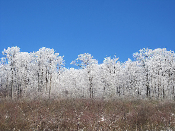 icicles02_hr