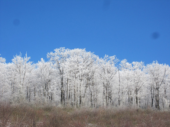 icicles03_hr