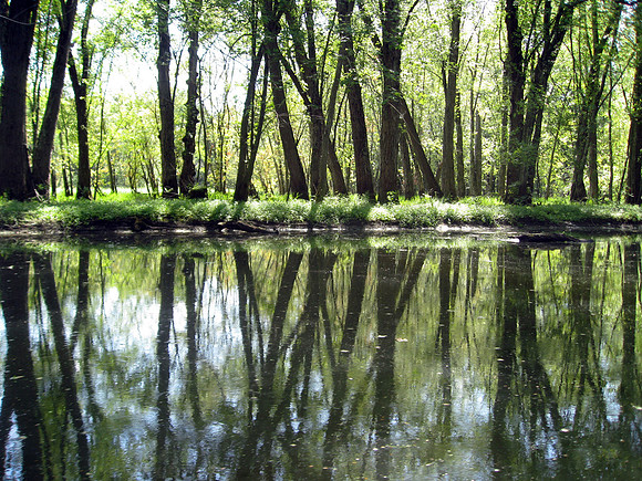 reflection01_hr